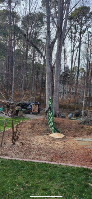 Tree service project photo 2